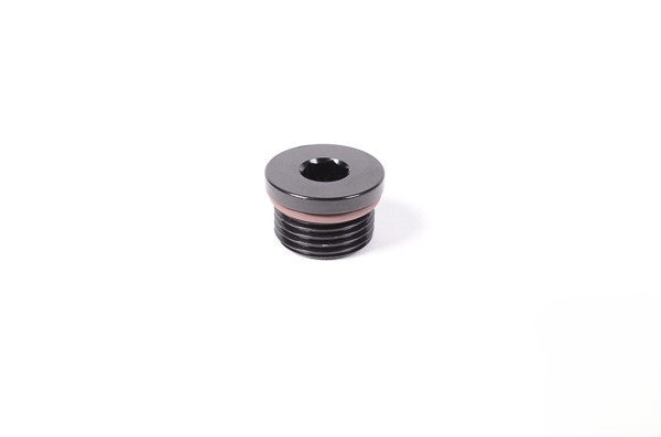 Radium Engineering 8AN ORB Plug