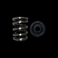 BC0010S - Honda B16A/B18C Spring/Steel Retainer Kit