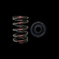 BC0030S - Honda H22 Spring/Steel Retainer Kit