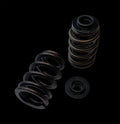 BC0900BX - Polaris XP Turbo (16-up) / XP 1000 (14-up) Beehive Spring/Steel Retainer w/No Shim Capture/OEM Seat Kit