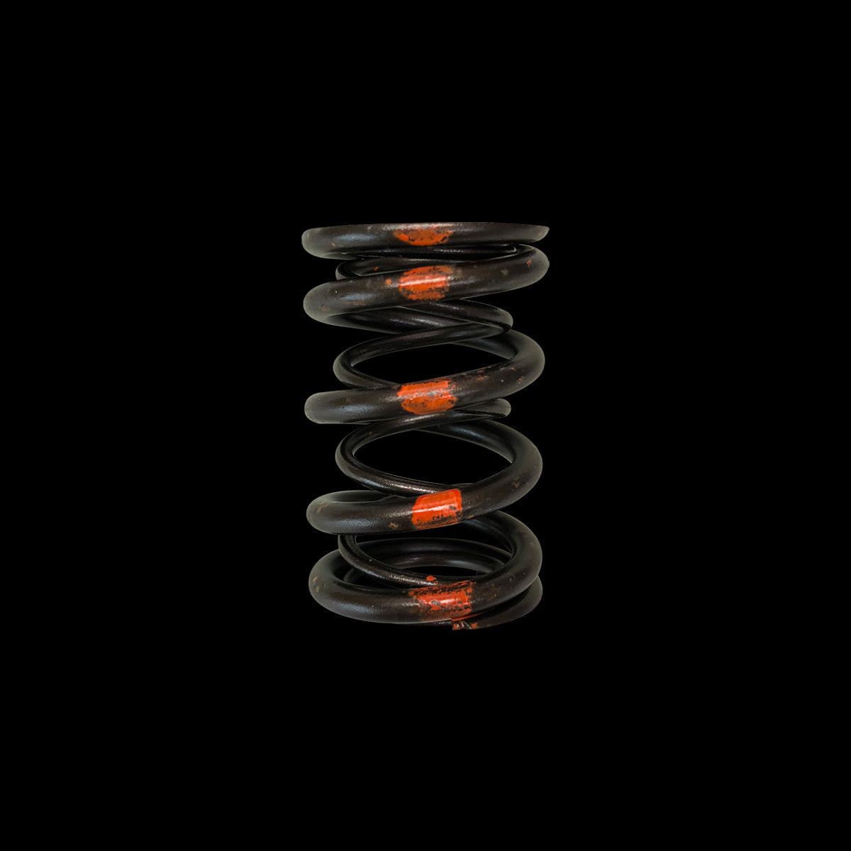 BC1020-1 - Valve Spring - Dual (Honda/Acura B18A/B18B/B20B, Subaru EJ Series) - 1 only