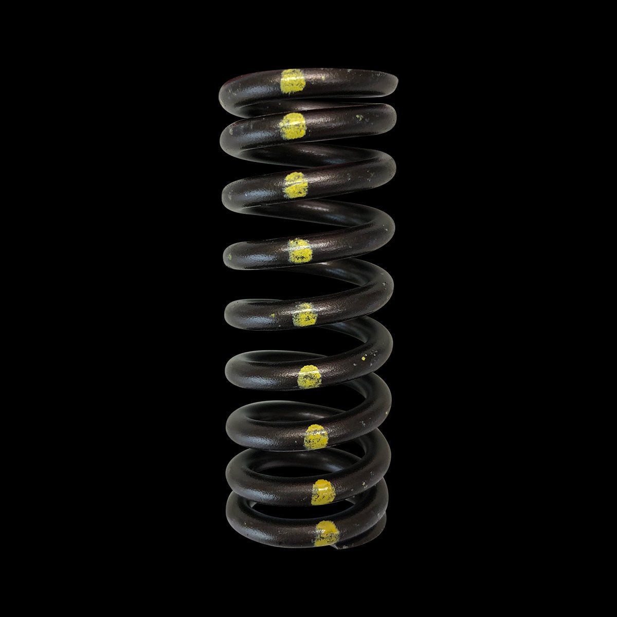 BC1070-1 - Valve Spring - Single (Honda D16Y8/D16Z6) - 1 only