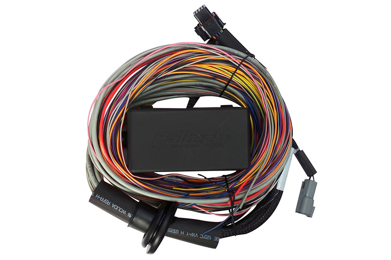 Elite 550 & 750 Premium Universal Wire-in Harness