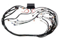 Elite 2000/2500 GM GEN IV LSx (LS2/LS3 etc) non DBW Terminated Harness (EV6)