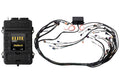 Elite 2500 + GM GEN IV LSx (LS2/LS3 etc) DBW Ready Terminated Harness Kit (EV1)