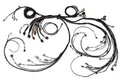 Nexus R5 LSx DBW Terminated Harness - DBW ready