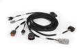 Nexus Plug-in DBW Expansion Harness 2.5m (8')