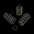 BC0460 - Chevy LS1 Conical Spring/Steel Retainer Kit
