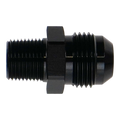 10AN Male Flare to 3/8" NPT Male Adapter