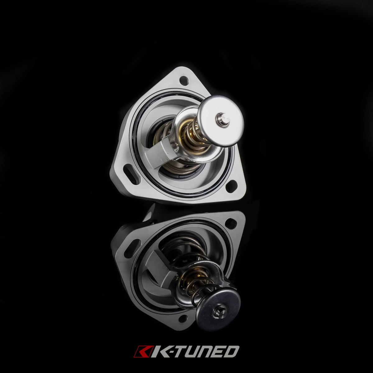 Swivel Neck Thermostat