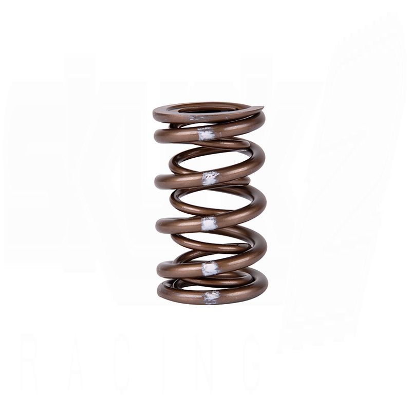 Pro XP Valve Spring Set - K Series