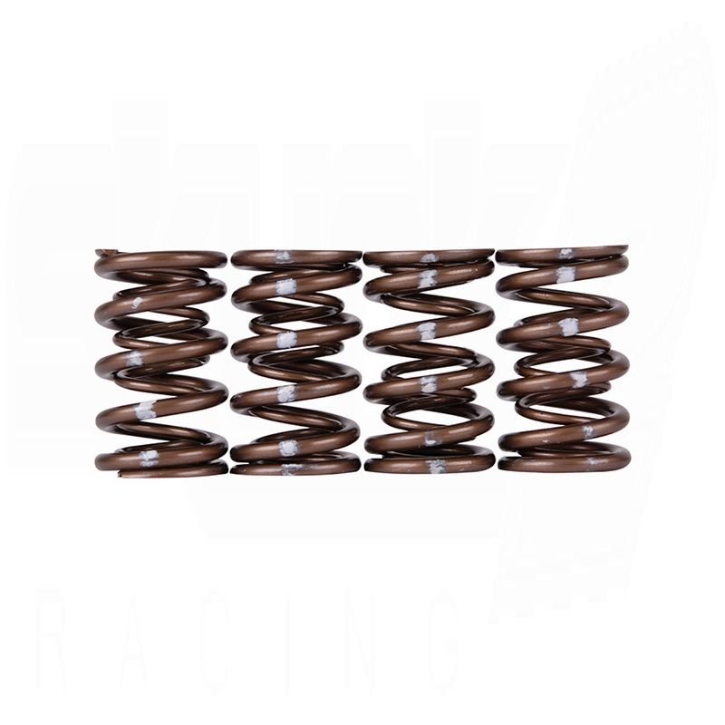 Pro XP Valve Spring Set - K Series