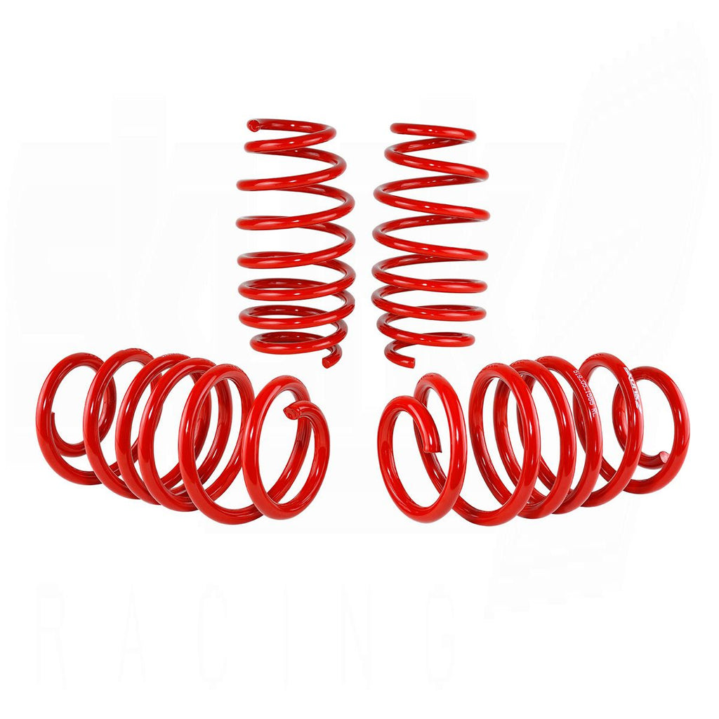 Lowering Springs - '12-'15 Civic