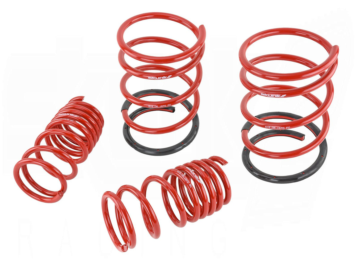 Lowering Springs - '01-'05 Civic