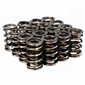 Pro XP Valve Spring Set - B VTEC