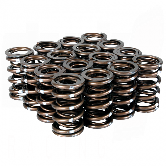 Pro XP Valve Spring Set - B VTEC