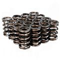 Pro XP Valve Spring Set - K Series