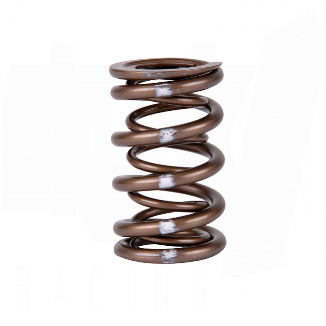 Pro XP Valve Spring Set - B VTEC