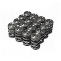 Alpha Valve Spring & Ti Retainer Kit - H Series