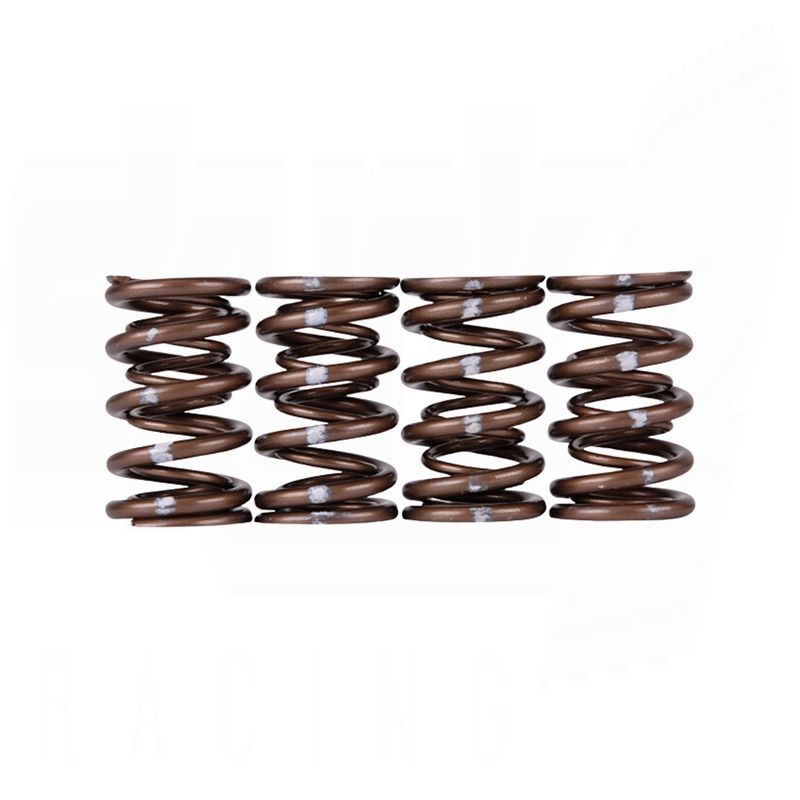 Pro XP Valve Spring Set - B VTEC