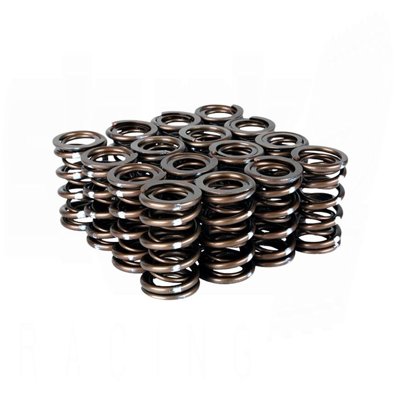 Pro XP Valve Spring Set - B VTEC