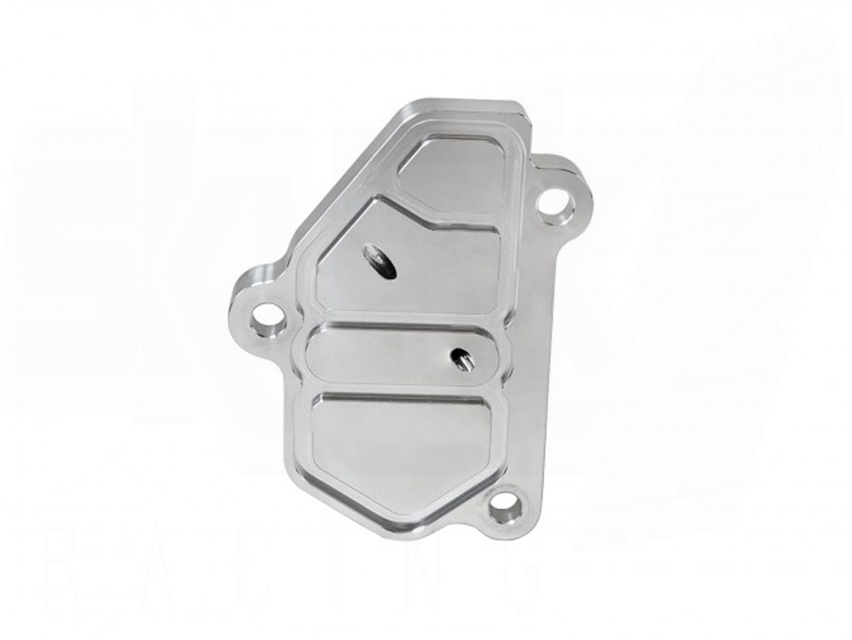 VTEC Block-Off Plate - B Series - Clear