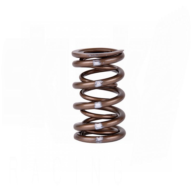 Pro XP Valve Spring Set - B VTEC