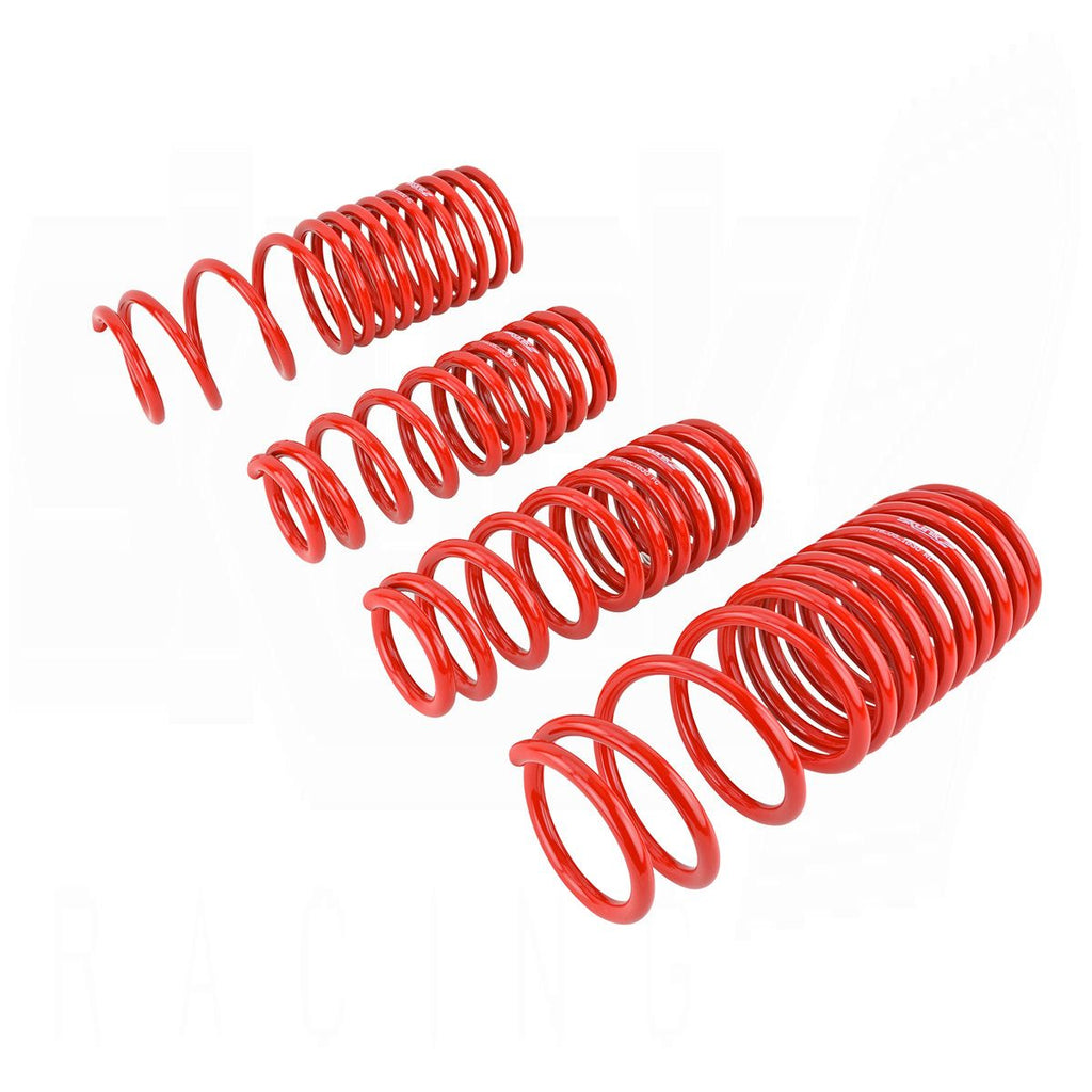 Lowering Springs - '90-'97 Accord