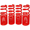 BLOX Racing Tesla Lowering Springs - Model 3 Long Range RWD