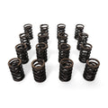 BLOX Racing Valve Springs - F-Series DOHC VTEC